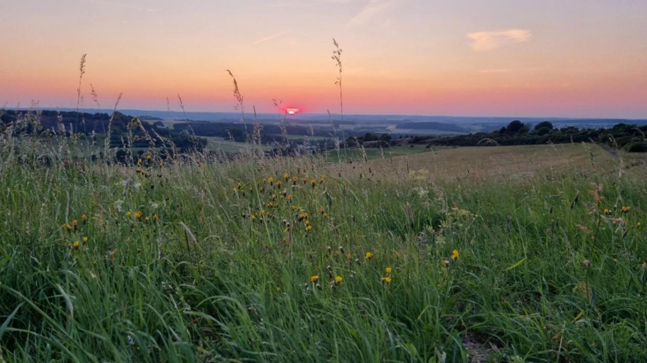 Ferienwohnung Eifelweh - Lieblingszeit Berndorf  Kültér fotó